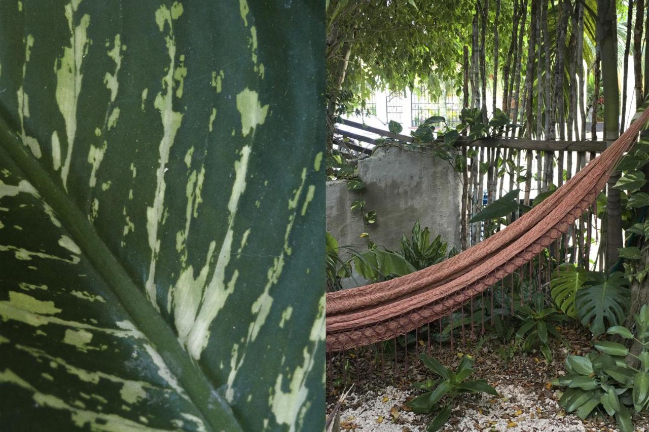 Wabi Sabi Garden Guesthouse By Amara Concepts. ตูลุม ภายนอก รูปภาพ