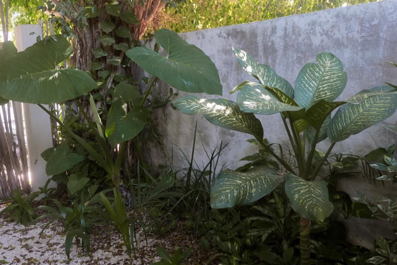 Wabi Sabi Garden Guesthouse By Amara Concepts. ตูลุม ภายนอก รูปภาพ